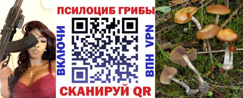 Псилоцибиновые грибы MAGIC MUSHROOMS  Вытегра 